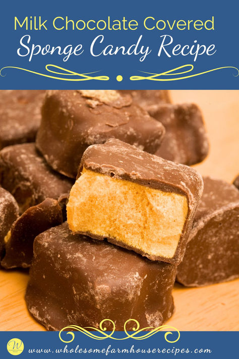 chocolate covered sponge candy a Christmas Candy recipe Sponge Candy Recipe Easy, Honey Comb Candy With Honey, Sponge Candy Recipe Homemade, Needhams Recipe Maine, Honeycomb Candy Recipe, Honey Candy Recipe, Sponge Candy Recipe, Chocolate Covered Honeycomb Recipe, Seafoam Candy Recipe