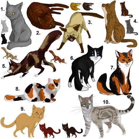 Cat Fur Patterns Coats, Pattern Ideas Drawing, Cat Fur Patterns, Cat Patterns, Fur Pattern, Rare Cats, Pot Filler, Pet Sitting, Pattern Ideas