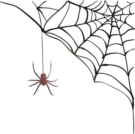 Amazon.com: Vinyl Wall Decal Spider Web Funny Halloween Decorating Room Stickers Mural Large Decor (ig5144) Black : Tools & Home Improvement Spider Wall, Decorating Room, Stencil Outline, Charcoal Drawings, Room Stickers, Tattoo Stencil Outline, Large Decor, Halloween Decorating, Tattoo Stencil