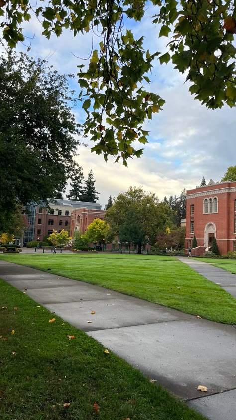 University Of Oregon Dorm, Oregon State University Aesthetic, University Of Oregon Aesthetic, College Mindset, Clean Aesthetic Outfit, Oregon Aesthetic, Autumn Board, Oregon University, College Core