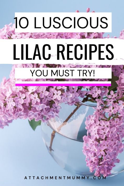 10 Lilac Recipes You Must Try this Year #lilac #recipes #lilacflowers #food #foraging #spring #gardenrecipes Lilac Recipes, Unit Study Ideas, Summer Camp At Home, Camp At Home, Flower Recipes, Food Foraging, Foraging Recipes, Pink Food, Lilac Blossom