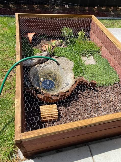 Tartaruga Habitat, Outdoor Tortoise Enclosure, Hermann Tortoise, Turtle Enclosure, Turtle Terrarium, Quail Coop, Russian Tortoise Diet, Turtle Aquarium, Tortoise House