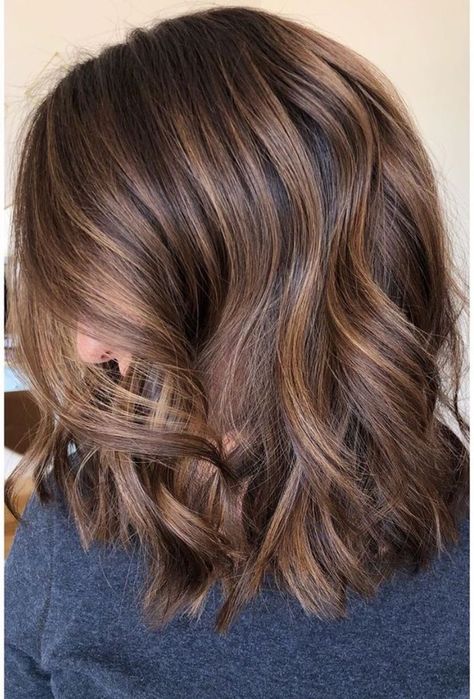 Hazelnut Hair, Rambut Brunette, Brunette Hair With Highlights, Caramel Highlights, Brown Hair Balayage, Short Hair Balayage, Haircuts For Medium Hair, Hair Color Highlights, Hair Color Balayage