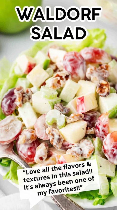 Discover the classic charm of Waldorf salad with a recipe that’s as timeless as it is delicious. Serve it as a main dish or a side dish and discover exactly why it’s been a popular classic for so long. Wardolf Salad Recipe, Best Waldorf Salad Recipe, Apple Waldorf Salad, Classic Waldorf Salad, Christmas Fruit Salad, Waldorf Salad Recipe, Apple Walnut Salad, Dressing For Fruit Salad, Thanksgiving Salad