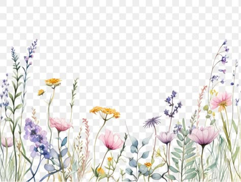 Transparent Flowers Png, Watercolor Flowers Border, Wildflower Border, Watercolor Flowers Png, Flower Border Png, Flower Clipart Png, Watercolor Flowers Clipart, Flower Frame Png, Watercolor Flower Background