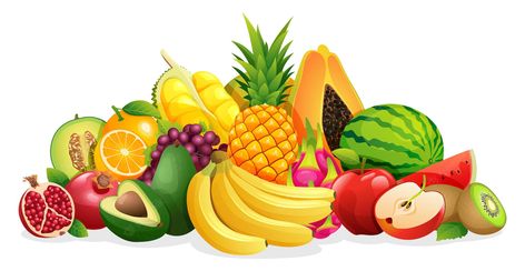 Conjunto de varios tipos de ilustraciones de frutas. | Vector Premium Save Food Poster Drawing, Save Food Poster, Animal Pictures For Kids, Farm Cartoon, Realistic Background, Fruit Crafts, Fruit Clipart, Buddha Artwork, Anime Classroom