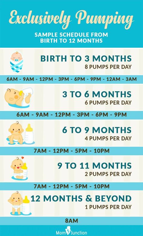 Exclusively Pumping: Sample Schedule From Birth To 12 Months | Breastfeeding and Pumping Tips Breastfeeding Schedule, Baby Trivia, Pumping Schedule, Newborn Schedule, Baby Routine, Baby Information, Exclusively Pumping, Baby Schedule, Baby News