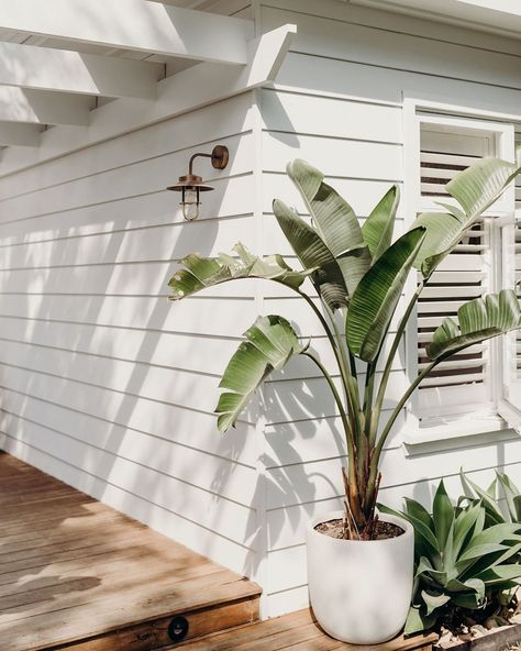 Assembly Label on Instagram: “Coastal simplicity • Captured by Sam Riles at the beautiful home of Natalie Fitch, as seen on the journal.” Facade Plants, Hamptons Exterior, Portugal House, Exterior Elevation, Coastal Patio, White Siding, Summer Aesthetics, Coastal House, Casa Country