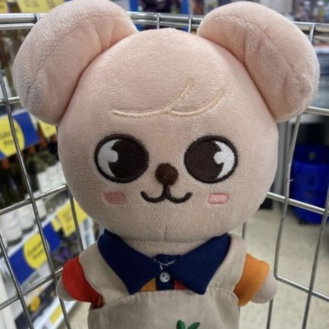 skzoo seungmin puppy plushie Seungmin Straykids, New Album, I Cant