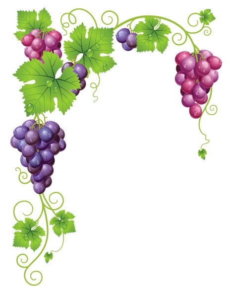 Vita de Vie Fleurs Art Nouveau, Wine Vine, Grape Painting, Borders And Frames, Clip Art Borders, Flowering Vines, Fruit Art, Raisin, Free Vector Images