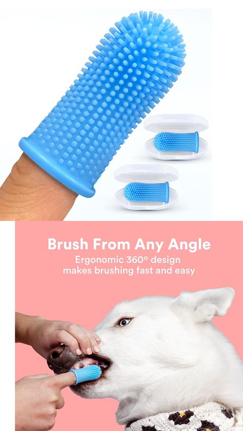 Dog Tooth Brush, Cat Toothbrush, Brushing Dogs Teeth, Alcohol Free Wine, Tooth Brushing, Dog Toothpaste, Herbal Coffee, Finger Toothbrush, Dog Tricks