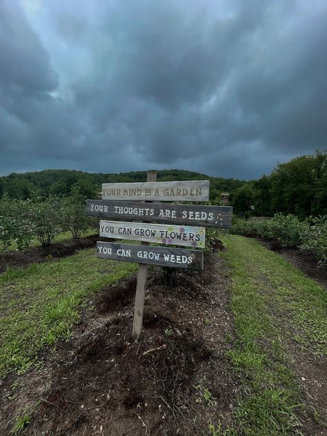 #blueberry #blueberries #field #quotes #inspiration Field Quotes, Blueberry Field, Growing Flowers, Blueberries, Seeds, Canning, Quotes, Flowers