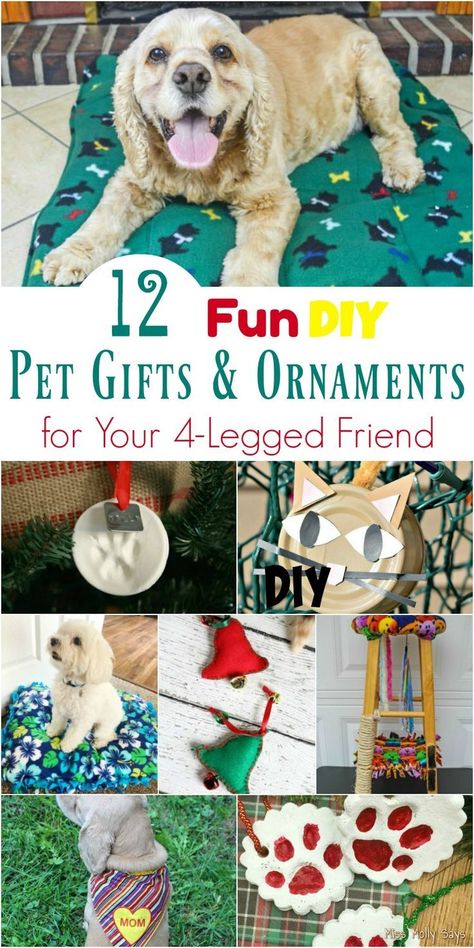 12 Fun DIY Pet Gifts & Ornaments for Your 4-Legged Friend Crafts To Do With Pets, Pet Christmas Ornaments Diy, Diy Pet Crafts To Sell, Dog Gifts Diy, Pet Gifts Diy, Pet Diys, Diy Dog Gifts, Friend Christmas Gifts, Kitty Treats