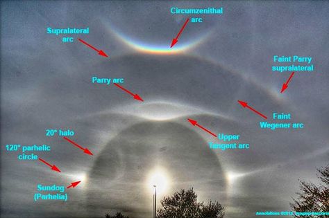 Sundog explaination Strange Rings, Optical Phenomena, Wild Animal Wallpaper, Sun Dogs, Huntsville Alabama, Atmospheric Phenomenon, Sky Moon, Cloud Drawing, Ancient Mysteries