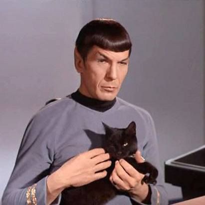 Even Spock knew that having the luxury of a black cat by your side lets you boldly go where no man has gone before. 🖖✨ This is the epitome of Purrfect Panache. 😺🌌 #SpockAndCat #StarTrek #BoldlyGo #BlackCatMagic #FelineCompanion #PurrfectPanache #CatLovers #InstaCats #GeekLife #SciFiCats #LuxuryPets Mr Spock, Leonard Nimoy, Geek Life, Spock, Childhood Memories, Star Trek, Feline, Black Cat, Cat Lovers