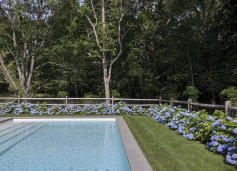 Split Rail Fence Hydrangeas, Split Rail Fence Around Pool, Hydrangeas By Pool, Fence Around Pool Ideas, Hydrangea Around Pool, Pool Hydrangeas, Pool With Fence, Landscaping Steps, Hydrangea Hedge