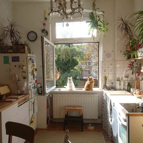 Cozy kitchen- white, light, open shelving, plants Cozy Apartment Decor, French Apartment, Junk Mail, Two Cats, Dream Apartment, House Room, Decor Minimalist, Cozy Apartment, House Goals