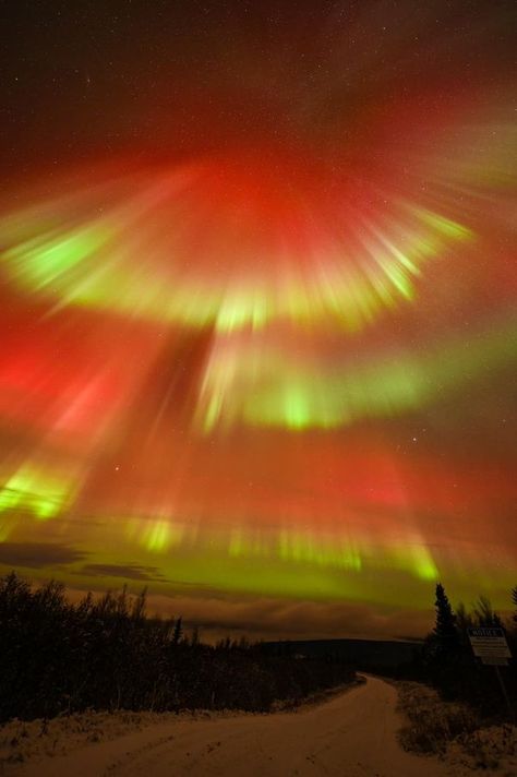 Northern Lights Alert | If I had a dollar for every time I uttered the words “oh my gosh”… 🤣  | Facebook Aurora Borealis Canada, Fairbanks Alaska, Aurora Borealis Northern Lights, Folly Beach, Aurora Borealis, The Words, Geography, Oh My, Astronomy