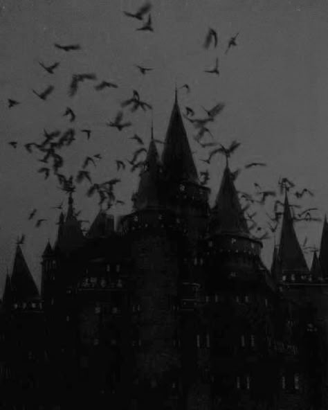 Nona Limmen, Paradis Sombre, Goth Architecture, Dark Castle, Gothic Castle, Vampire Aesthetic, Castle Aesthetic, Ange Demon, Three Fold