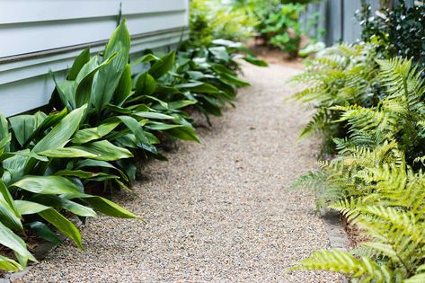 Coastal House Landscaping, Lowcountry Landscaping, Low Country Landscaping Ideas, Georgia Landscaping Ideas, Low Country Wallpaper, Low Country Landscaping, Low Country Landscape, South Carolina Landscaping, Coastal Georgia Landscaping