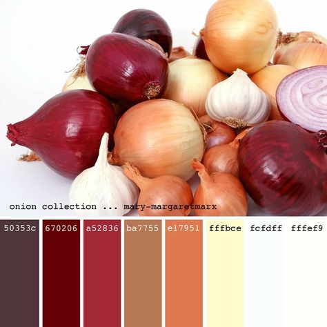 Onions, shallots and garlic Palletes Colors, Color Palette Challenge, Color Schemes Colour Palettes, Color Palette Design, Color Harmony, Color Studies, Colour Palettes, Shallots, Color Therapy