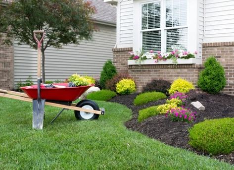 The Dos and Don'ts of Foundation Planting Spring Landscaping, Frugal Gardening, Small Front Yard, House Foundation, Foundation Planting, Landscaping Tips, Garden Bed, Landscape Projects, Gardening For Beginners