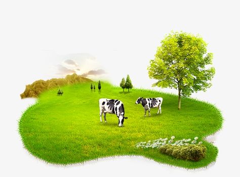 Milk Product Creative Ads, Milk Products Dairy, Milk Ads, Milk Png, Milk Advertising, Iphone Wallpaper Planets, Cow Products, Milk Design, Farm Fresh Milk