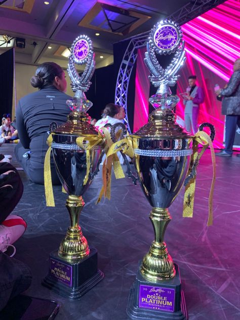 Dance Trophies Aesthetic, Dance Medals, Dance Trophies, Dance Trophy, Dance Nation, Academic Awards, Trophy Collection, Dance Comp, Nurse Aesthetic