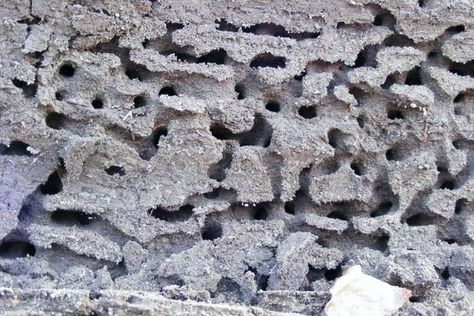 Ant Hill, Hornets Nest, Cool Shapes, Flower Bed, Environment Design, Patterns In Nature, When He, Ants, A Flower