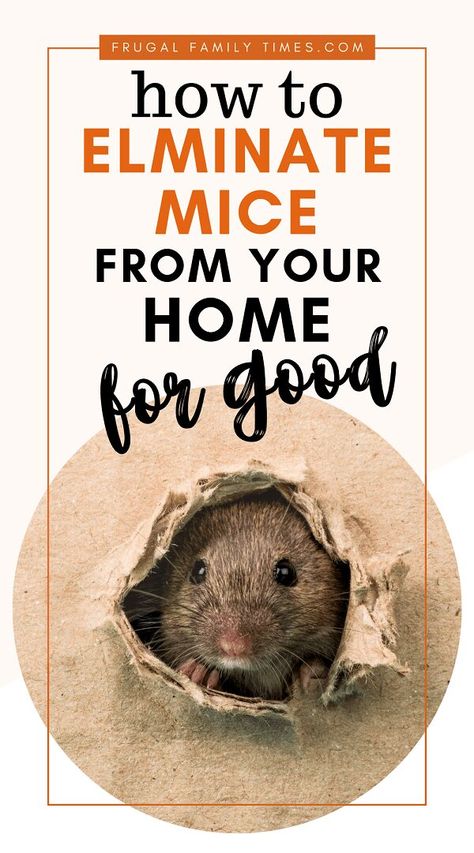 Get rid of mice for good. Our rodent proofing guide: how to get rid of the mouse problem in your home, cottage or cabin. Keep rodents out of your home forever. Diy Mice Repellent, Mouse Deterrent, Mice Infestation, Getting Rid Of Rats, Rodent Repellent, Mobile Home Makeover, Mice Repellent, Getting Rid Of Mice, Mouse Hole