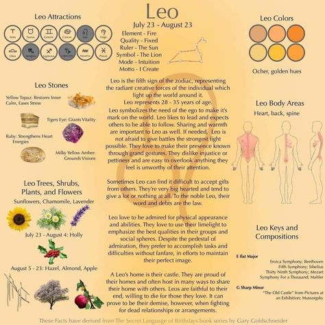 Astrology 2023, Sagittarius Crystals, Spiritual Astrology, Leo Sun Sign, Leo Personality, Zodiac Signs Elements, Leo Quotes, Leo Zodiac Facts, Aries And Gemini