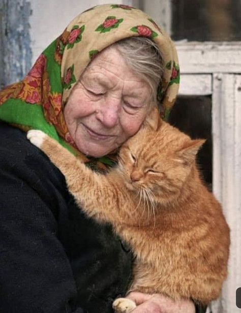 Grandma Portrait, Lode A Dio, Kinds Of Cats, Christmas Journal, Best Friends For Life, Small Cat, Ginger Cats, Wholesome Memes, 인물 사진