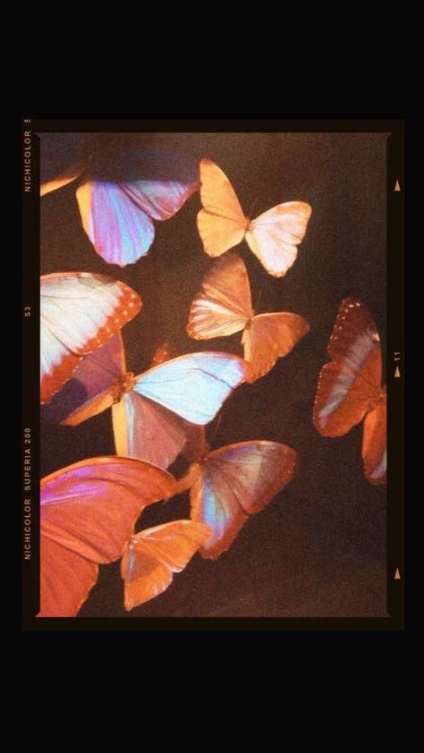 Aesthetic Pictures Of Butterflies, Blue Butterfly Background Aesthetic, Cute Wallpaper Backgrounds, Scenery Wallpaper, Pretty Pictures, Pretty Wallpapers, Aesthetic Art, Art Wallpaper, Wallpaper Backgrounds