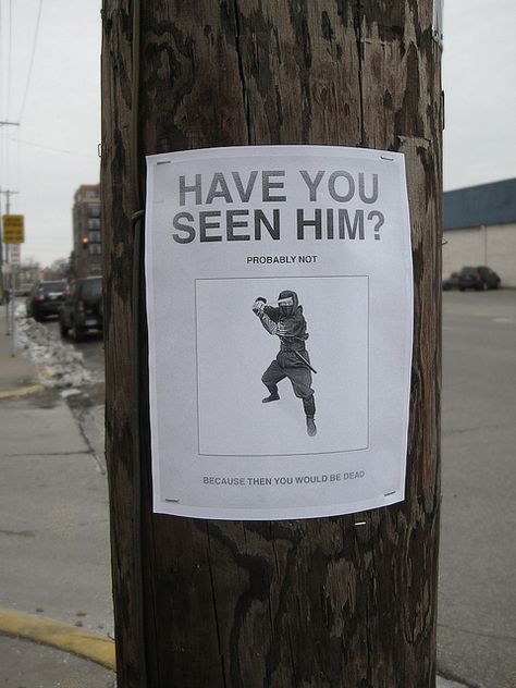 Ninja gone missing. Funny Street Signs, Telephone Pole, Clean Humor, Guy Pictures, Lost & Found, Street Signs, Have You Seen, Funny Signs, A Sign