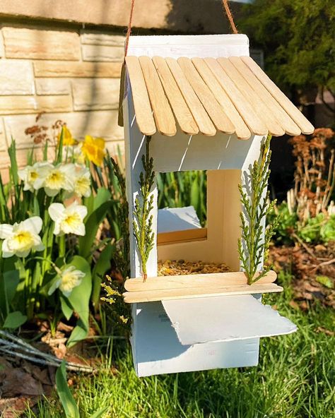 Bird feeders diy