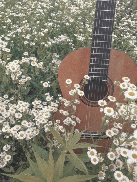 Cottagecore Guitar Aesthetic, Cottagecore Music Aesthetic, Quinncore Aesthetic, Cottagecore Guitar, Paisley Core, Cottagecore Music, Ukulele Aesthetic, Gitar Vintage, Ukulele Photography