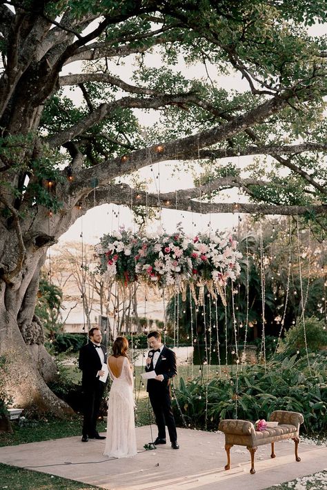 Wedding Under Tree Decoration, Under Tree Wedding Ceremony, Under Tree Wedding, Wedding Ceremony Under Tree, Wedding Under Tree, Wedding Under A Tree, Wedding Under Trees, Costa Rican Wedding, Secular Wedding