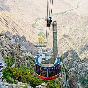 Aerial Tramway, San Jacinto Mountains, Palm Spring, Desert Life, Summer Escape, Nature Walk, Palm Springs California, San Jacinto, California Travel Road Trips