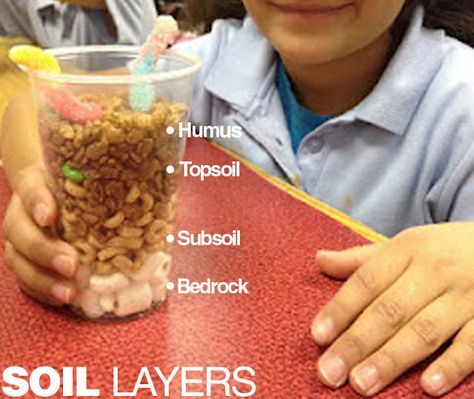 Edible soil layer activity. Students create their own visual for the different soil layers. Layers Of Soil, Soil Activities, Grade 3 Science, Education Preschool, Activities Kindergarten, 1st Grade Science, Chalk Talk, First Grade Science, Third Grade Science