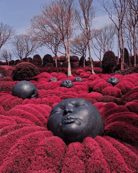 Creepy Garden, Eyewear Inspiration, Water Fountain Design, Scary Dreams, Fountain Design, Creepy Pictures, Garden Architecture, Photoshoot Themes, Art Garden