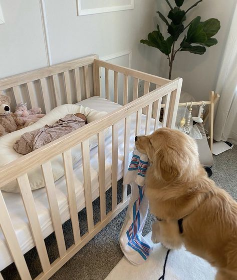 Family With Dog Aesthetic, Family Dog Aesthetic, The Wall Of Winnipeg And Me Aesthetic, Dogs With Babies, Pet Family Photos, Life With A Dog, Dog And Baby, Baby And Dog, Consider Me