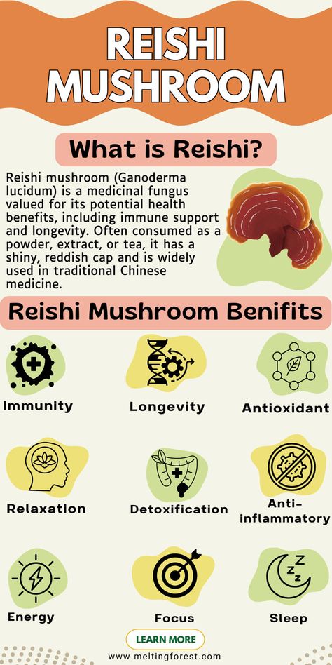 Explore the incredible health benefits of Reishi mushroom, a powerful medicinal fungus known for immune support and longevity. Learn how this shiny, reddish mushroom is used in traditional Chinese medicine as a powder, extract, or tea. Learn more. #ReishiMushroom #ImmuneSupport #TraditionalMedicine #HerbalRemedies Reishi Mushroom Tea, Herbal Flowers, Reishi Mushroom Benefits, Reishi Mushrooms, Herbal Education, Herbal Health, Mushroom Benefits, Mushroom Tea, Chaga Mushroom