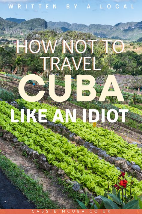 If there’s one thing that’s been bugging me increasingly for the last couple of years, it’s people being idiots when travelling to Cuba. Many think of the island as nothing but classic cars and beautiful beaches. They come here exclusively to just get their cute pic to post on Instagram. But please – Cuba needs so much more attention and care than that. #cuba #responsibletourism #cubatravel #travelresponsibly #travelguidecuba #visitcuba #travelcuba Cuba Tourism, Cuba Culture, Cuba Vacation, Cuba Fashion, Cuba Beaches, To Post On Instagram, Visit Cuba, Responsible Tourism, Cuba Travel