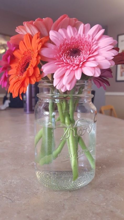 Happy Earth Day & Happy Flower Friday!!! - Gerber Daisies, Color ... Simple Colorful Flower Centerpieces, Gerber Daisy Arrangements, Gerber Daisy Centerpiece, Candyland Wedding, Gerbera Daisy Centerpiece, Craft Ideas For Gifts, Cavas Art, Christmas Crafts Ideas, Daisy Centerpieces