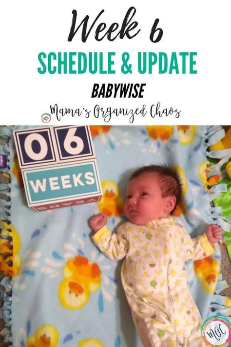 babywise 6 weeks schedule and update #babywise #babyschedule #babysleep #babysleeptips #parenting101 Babywise Schedule, Wonder Weeks, Baby Wise, Toddler Schedule, Week Schedule, Baby Schedule, Newborn Hacks, Baby Sleep Problems, Organized Chaos