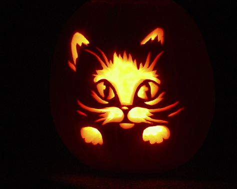 Cat Pumpkin Carving, Cute Pumpkin Carving, Halloween Pumpkin Carving Stencils, Days Until Halloween, Creative Pumpkin Carving, Pumpkin Carving Designs, Labu Halloween, Chat Halloween, Halloween Pumpkin Designs