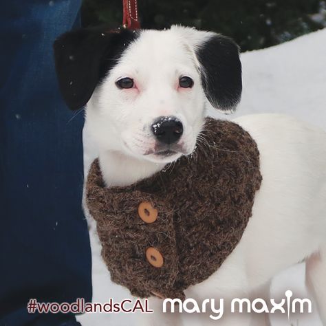 Pet Crochet Patterns, Crochet Dog Collar, Dog Scarf Crochet, Cowl Scarf Crochet, Crochet Together, Pet Crochet, Crochet Pet, Basketweave Stitch, Mary Maxim