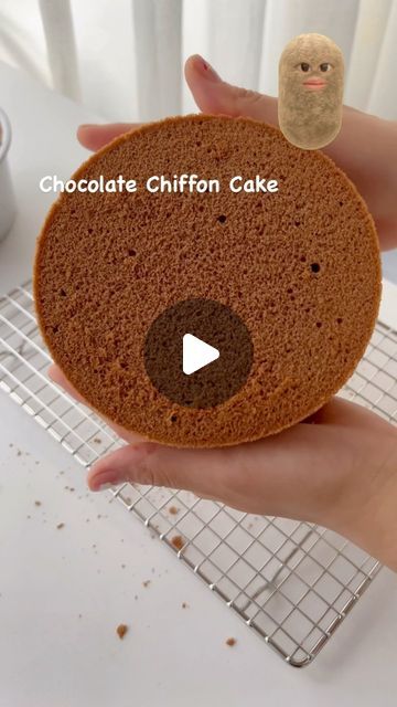 Chiffon Cake Decoration, Chocolate Chiffon Cake Recipe, Chiffon Cake Recipe, Chocolate Chiffon Cake, Cafe Bakery, Recipe Baking, Cute Cafe, Cake Trends, Bakery Desserts