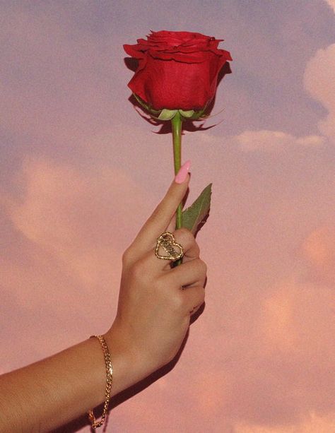 PinterestToridanielle520 Chicana Aesthetic, Beau Gif, Latina Aesthetic, Roses Aesthetic, Chicana Style, Love Roses, Rosé Aesthetic, Aesthetic Cute, Mexican Culture