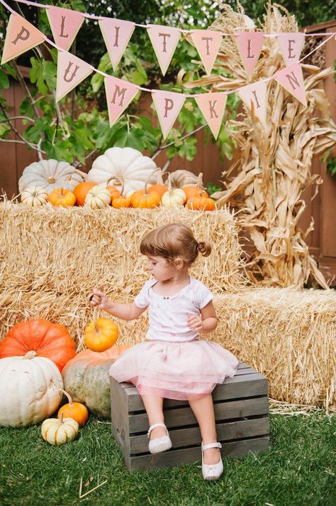 Pumpkin Patch Birthday Party, Pumpkin Patch Birthday, Fall 1st Birthdays, Pumpkin Patch Party, Pumpkin Birthday Parties, Pumpkin 1st Birthdays, Picnic Birthday Party, Pumpkin First Birthday, Fall Birthday Parties